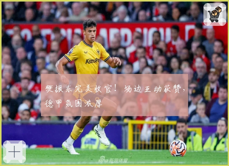 樊振东完美收官！场边互动获赞，德甲氛围浓厚