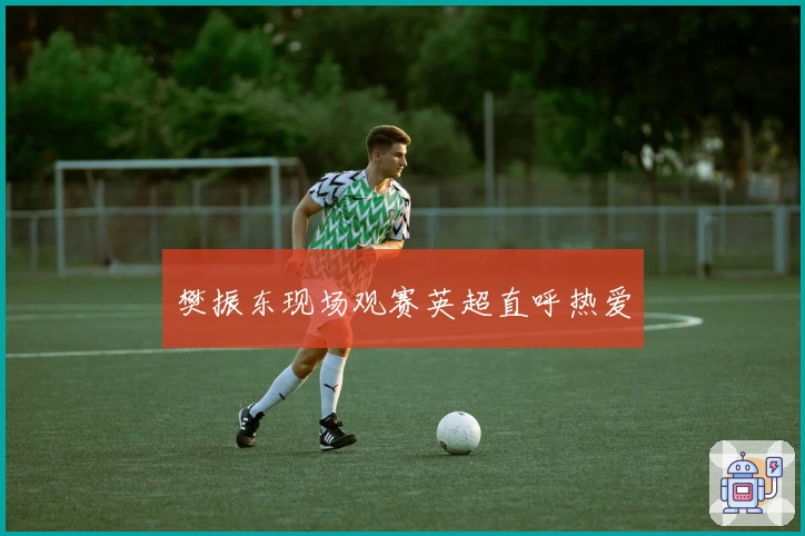 樊振东现场观赛英超直呼热爱