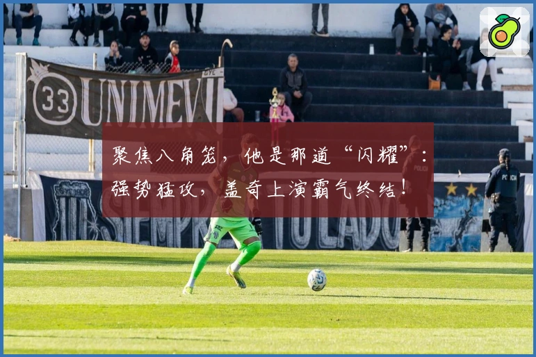 聚焦八角笼，他是那道“闪耀”：强势猛攻，盖奇上演霸气终结！