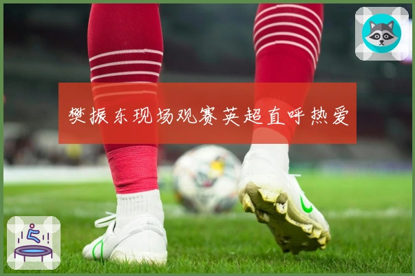 樊振东现场观赛英超直呼热爱